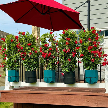 RailScapes Black Floating Plant Hanger