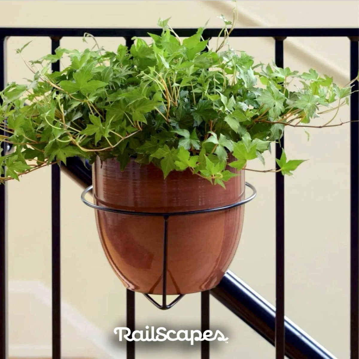 RailScapes Black Floating Plant Hanger
