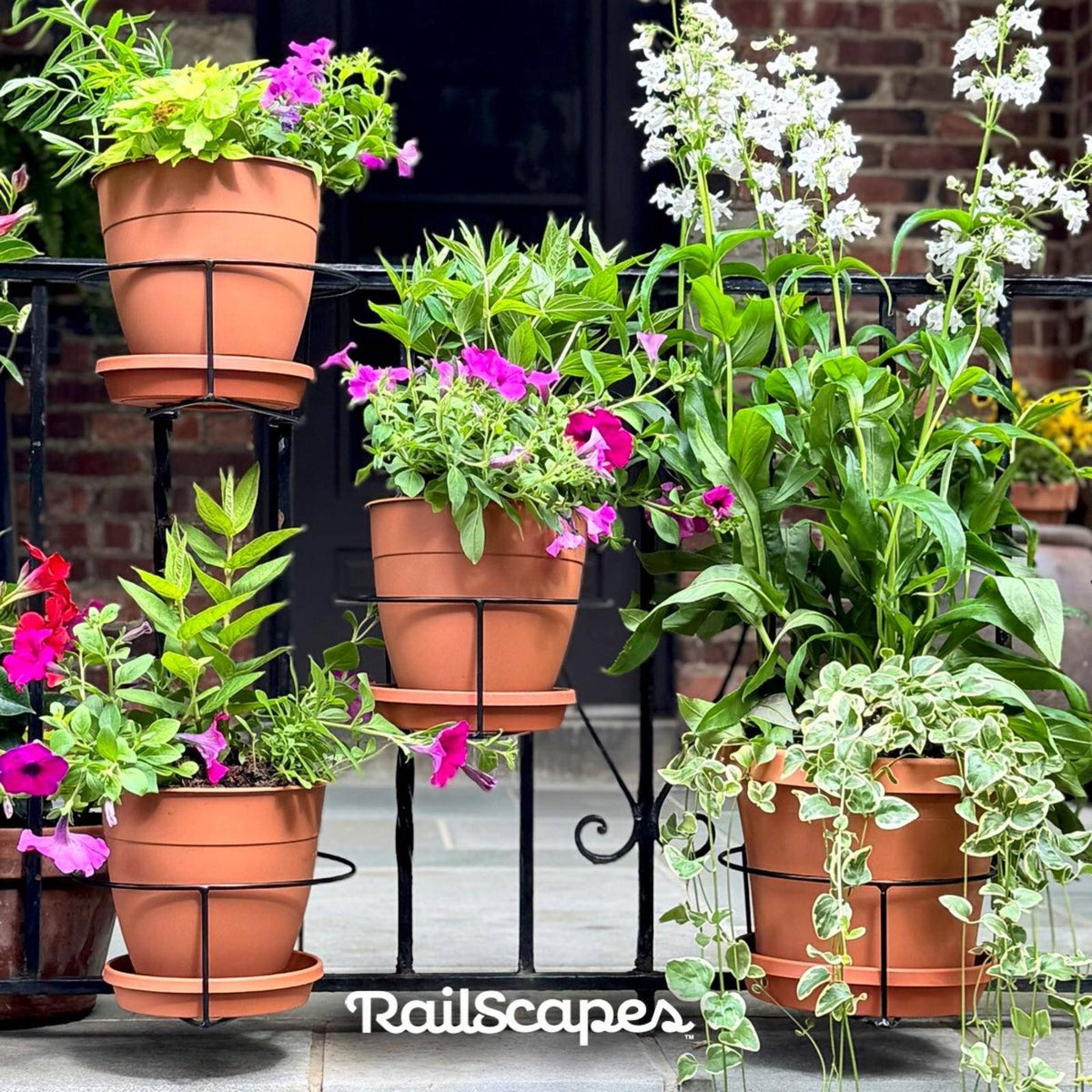 RailScapes Black Floating Plant Hanger