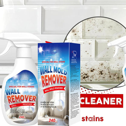 Instant Wall Mold & Mildew Remover Spray